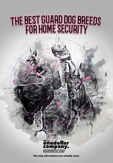 The Best Guard Dog Breeds for Home Security