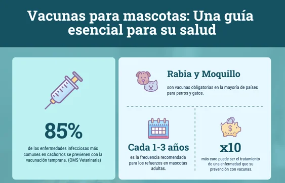 Pet Vaccines: An Essential Guide to Their Health — Spanish cover